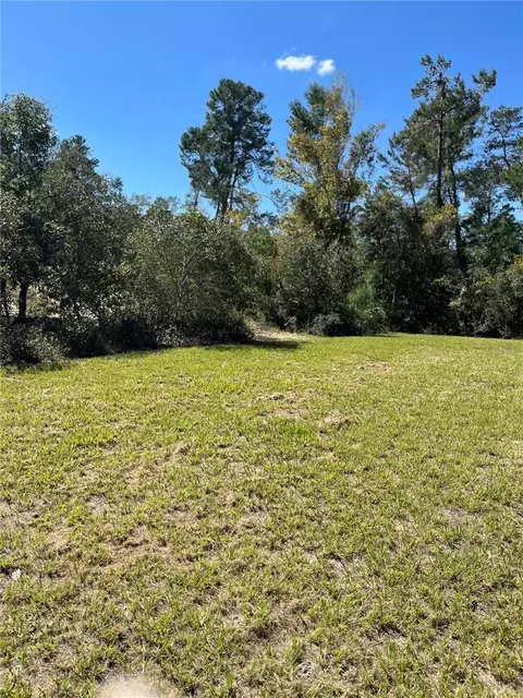 Exterior - 3402 SW 165th Loop, Ocala, FL 34473 photo 7 of 13