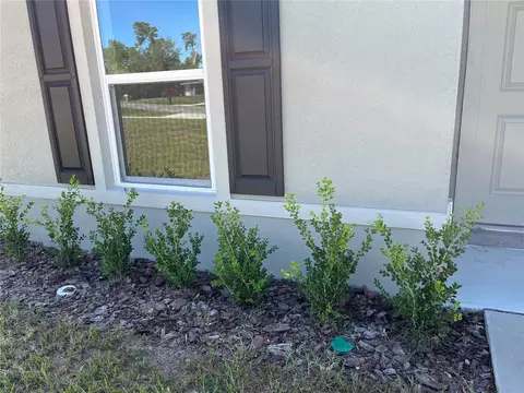 Exterior - 3402 SW 165th Loop, Ocala, FL 34473 photo 9 of 13