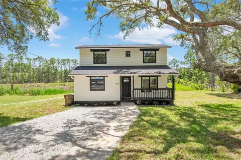 42111 Chinaberry Ct, Eustis, FL 32736