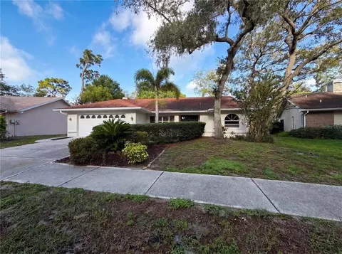 1015 Knollwood Ct, Safety Harbor, FL 34695