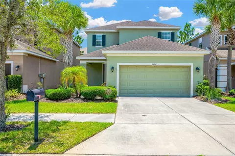16065 Bella Woods Dr, Tampa, FL 33647
