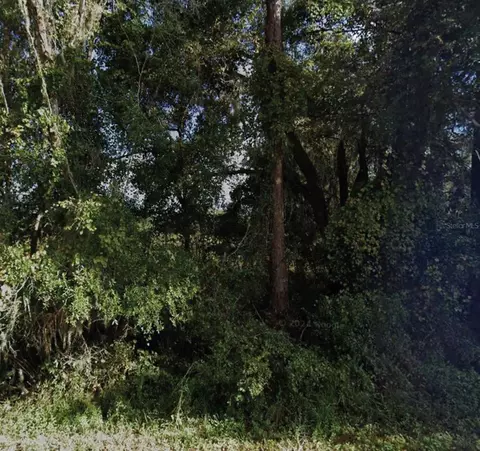 NE 234th Place Road, Fort Mc Coy, FL 32134