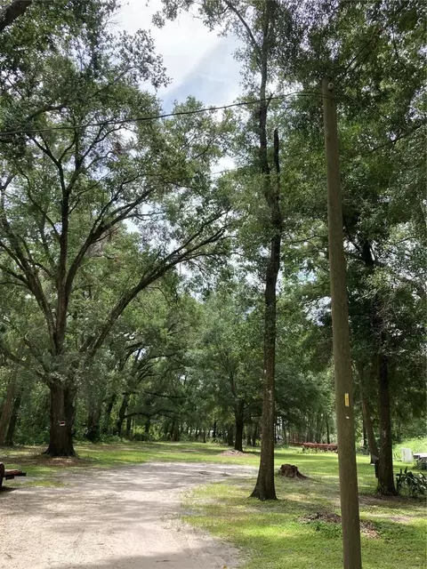 E Pine Avenue, Mount Dora, FL 32757 photo 2
