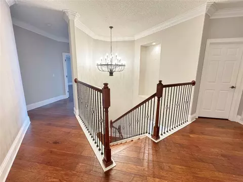 Entry Way - 173 Calliope St, Ocoee, FL 34761 photo 5 of 5