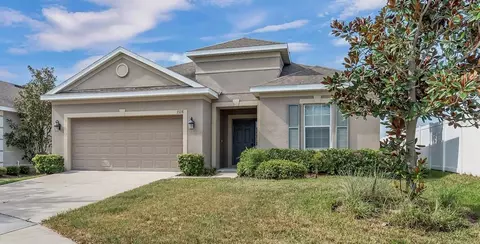 7328 Blue Beech Dr, Riverview, FL 33578