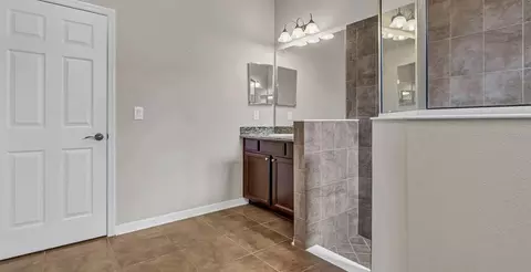 Bath - 7328 Blue Beech Dr, Riverview, FL 33578 photo 2 of 4
