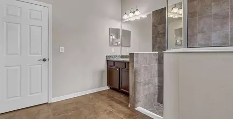 Bath - 7328 Blue Beech Dr, Riverview, FL 33578 photo 3 of 4