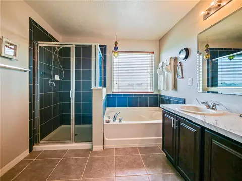 Bath - 4597 Baler Trails Dr, Saint Cloud, FL 34772 photo 3 of 5