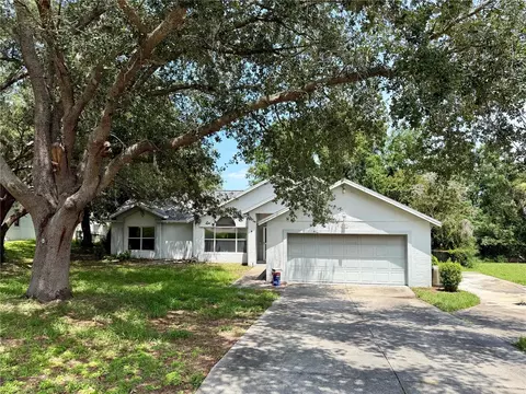 10258 Joanies Run, Leesburg, FL 34788