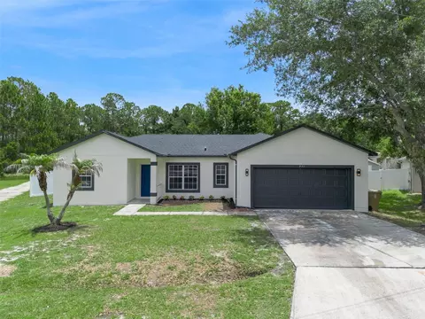 931 Van Loon Ct, Kissimmee, FL 34758