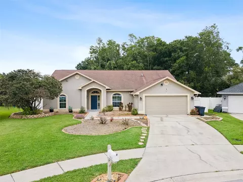 26203 Corkwood Ct, Land O Lakes, FL 34639