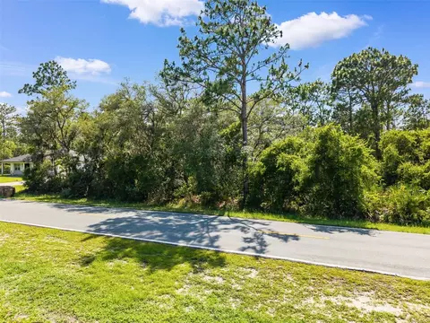 Royal Trails Road, Eustis, FL 32726 photo 12