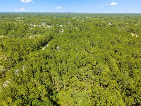 Apricot Avenue, Eustis, FL 32736 photo 4
