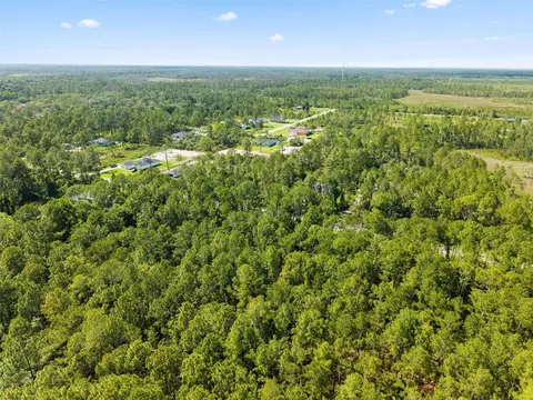 Apricot Avenue, Eustis, FL 32736 photo 7