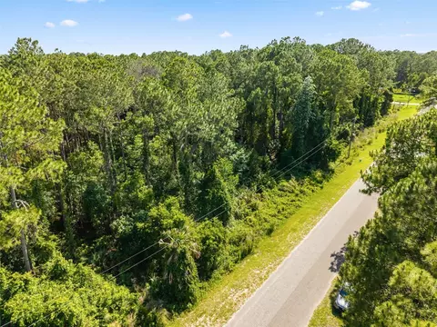 Apricot Avenue, Eustis, FL 32736 photo 10