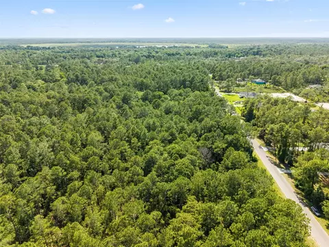 Apricot Avenue, Eustis, FL 32736 photo 9