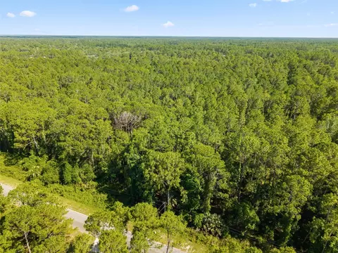 Apricot Avenue, Eustis, FL 32736 photo 2