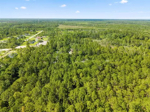 Apricot Avenue, Eustis, FL 32736 photo 6