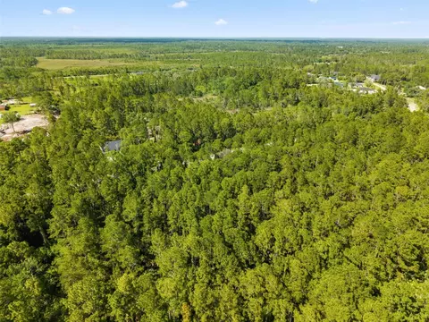 Apricot Avenue, Eustis, FL 32736 photo 5