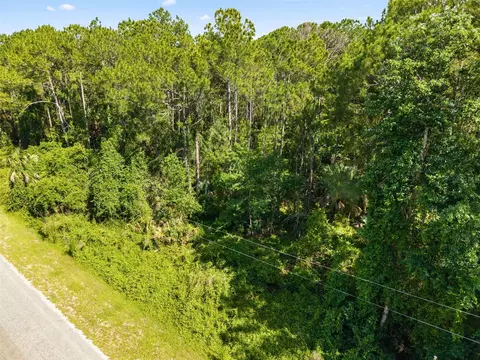 Apricot Avenue, Eustis, FL 32736 photo 11