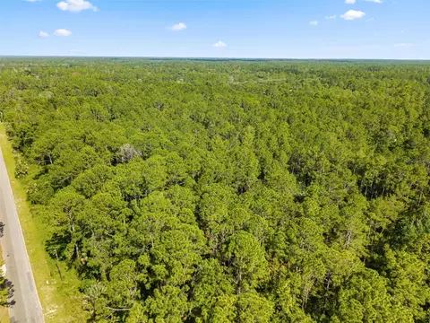 Apricot Avenue, Eustis, FL 32736 photo 3