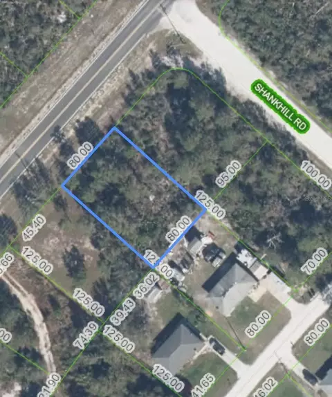 10406 S Orange Blossom Blvd, Sebring, FL 33875