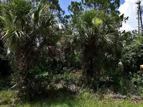Sago Palm Road, North Port, FL 34291