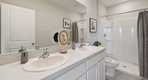 Bath - 32202 Turtle Grace Loop, Wesley Chapel, FL 33545 photo 1 of 2
