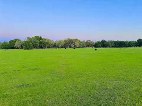 10710 Mcintosh Rd, Thonotosassa, FL 33592