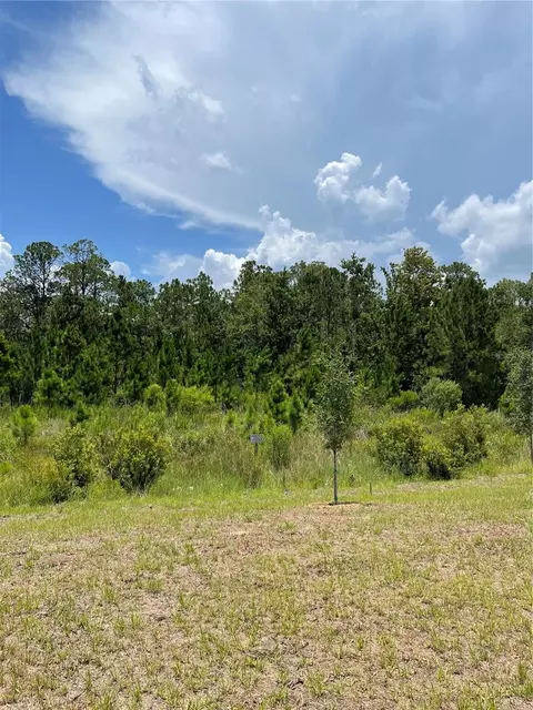 Other - 7630 Bent Tree Loop, Saint Cloud, FL 34771 photo 1 of 6