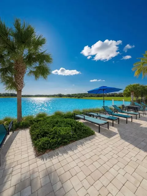 Exterior - 2822 Bigleaf Maple Dr, Ocoee, FL 34761 photo 8 of 9