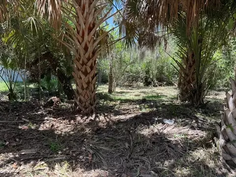 110 Oak St, Flagler Beach, FL 32136