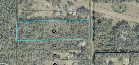 Jungle Road, Geneva, FL 32732