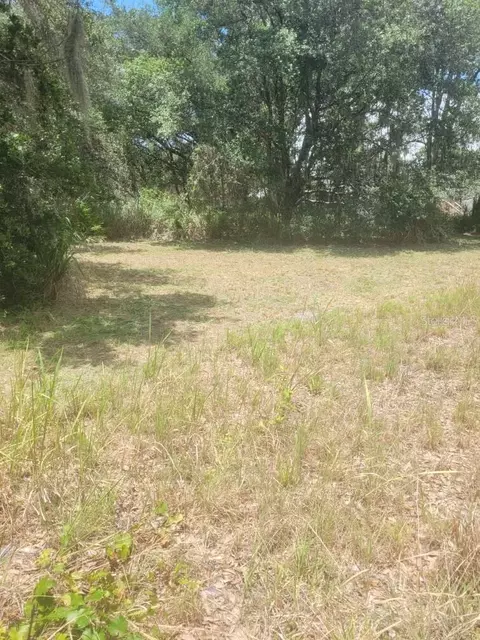 6631 Merle St, Mulberry, FL 33860