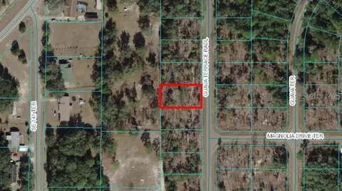 0 Guava Terrace Radl, Ocklawaha, FL 32179