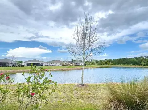 View/Area - 3434 Sagebrush St, Harmony, FL 34773 photo 2 of 2
