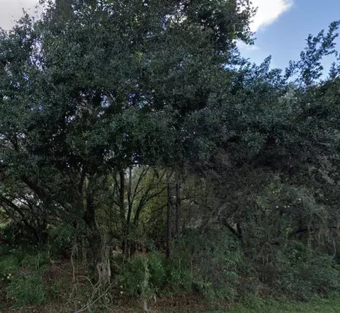 Granada Drive, Indian Lake Estates, FL 33855