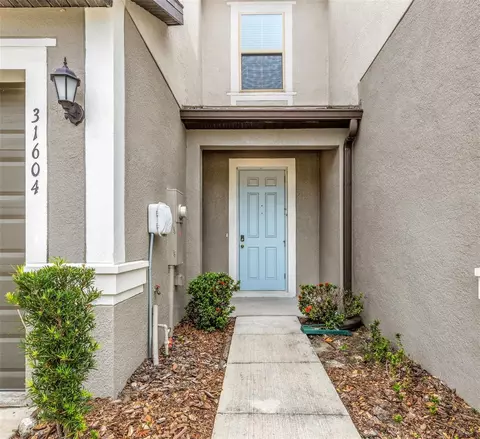 31604 Blue Passing Loop, Wesley Chapel, FL 33545