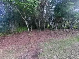 3253 Sardinia Ter, Deltona, FL 32738