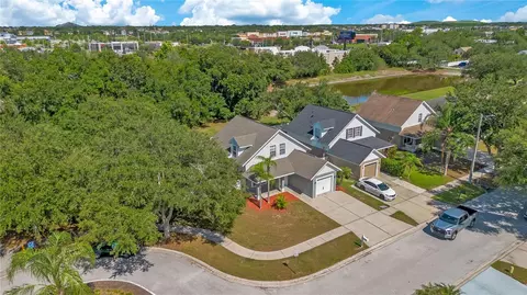 View/Area - 10225 Summerview Cir, Riverview, FL 33578 photo 4 of 7