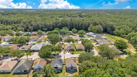 View/Area - 10225 Summerview Cir, Riverview, FL 33578 photo 6 of 7