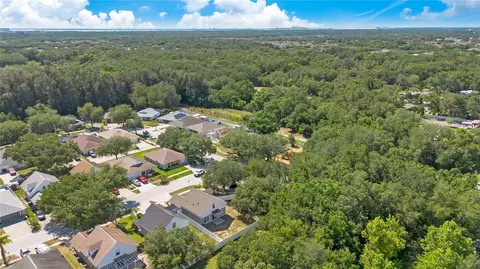 View/Area - 10225 Summerview Cir, Riverview, FL 33578 photo 7 of 7