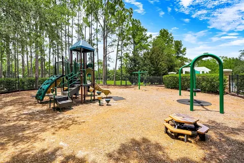 View/Area - 6601 Duncaster St, Windermere, FL 34786 photo 8 of 12