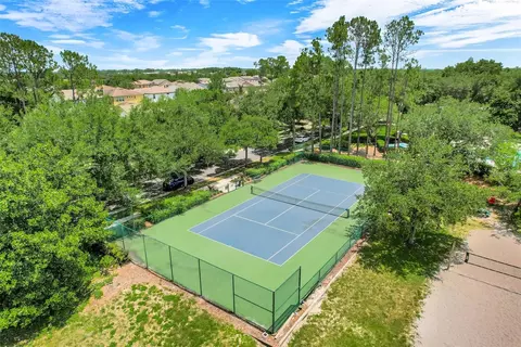 View/Area - 6601 Duncaster St, Windermere, FL 34786 photo 12 of 12