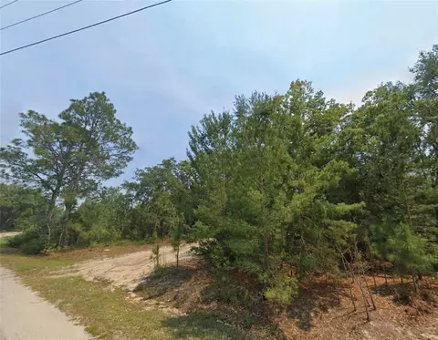 Malauka Place, Ocklawaha, FL 32179