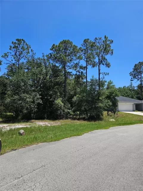 223 Starling Ct, Poinciana, FL 34759