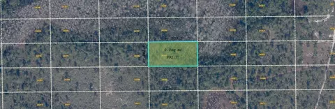Dill Road, Orlando, FL 32820
