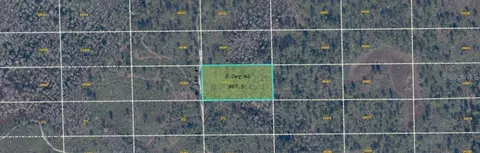 Dill Road, Orlando, FL 32820