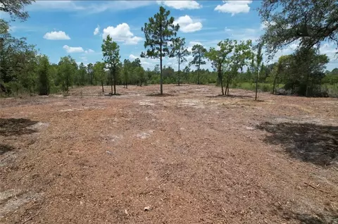 NE 56th Street, Bronson, FL 32621