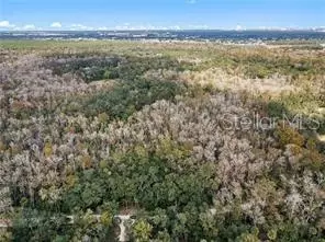 8245 Keefer Trl, Kissimmee, FL 34747